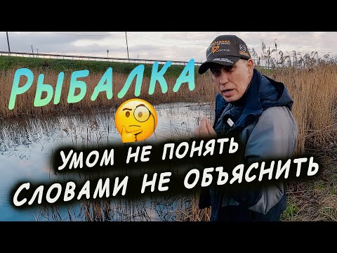 Видео: Необъяснимые факты и наблюдения в рыбалке