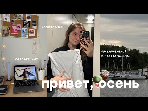 Видео: начинаем осень красиво: расхламление, выздоровление, забота о себе, выезд в лес 🧦🍂