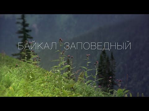 Видео: «Байкал заповедный»