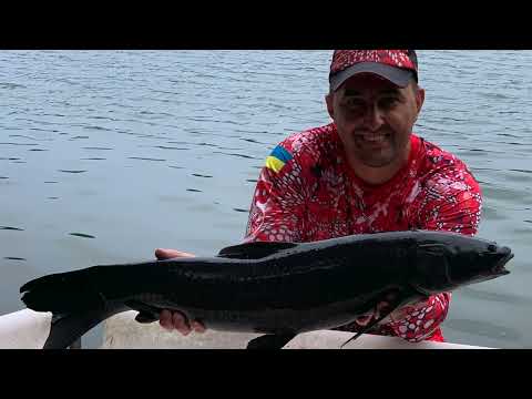 Видео: Літній Кубок Bounty-2024. Є - новий рекорд озера .