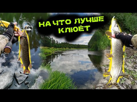 Видео: Река Тагил Рыбалка🎣. Раздача щук🦈 на микроджиг и твичинг. Что ловит лучше❓