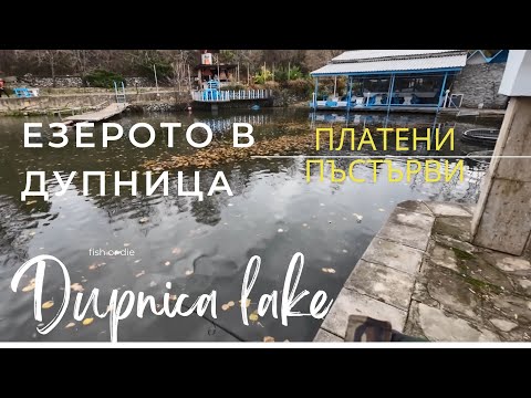 Видео: Езерото на Дупница пъстърви - Dupnica lake