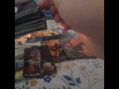 Видео: Жігіт сізге не айтқысы келеді⁉️🔮 +7747 047 42 96 ватсап