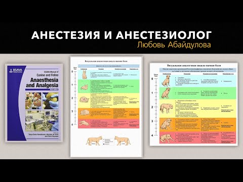 Видео: Анестезия и анестезиолог