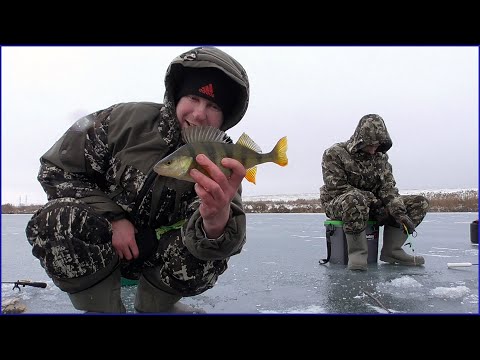 Видео: Первый лёд 2022-2023. Окунёвый жор. Рыбалка сказка