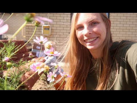 Видео: vlog ☀️ НАКАЗАЛИ СЫНА / ТРЕНИРОВКИ ПОДОРОЖАЮТ🏃‍♀️ / ЦЕНЫ НА ОВОЩИ С РЫНКА / ПЕРВАЯ КУКУРУЗА