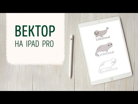 Видео: Работа с вектором на Ipad pro