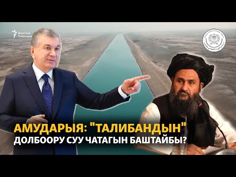 Видео: Амударыя: "Талибандын" долбоору суу чатагын баштайбы?