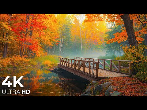 Видео: 🍁 Осень в 4K UHD | Расслабляющая фортепианная музыка для снятия стресса и учёбы | Живописные осенние