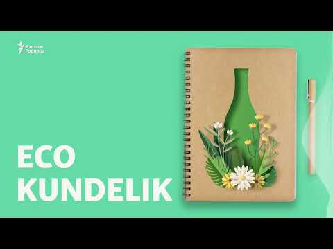 Видео: "Шылаушын бизнесімен айналысатындарға мемлекет көмектессе, екі ірі мәселе шешілер еді"