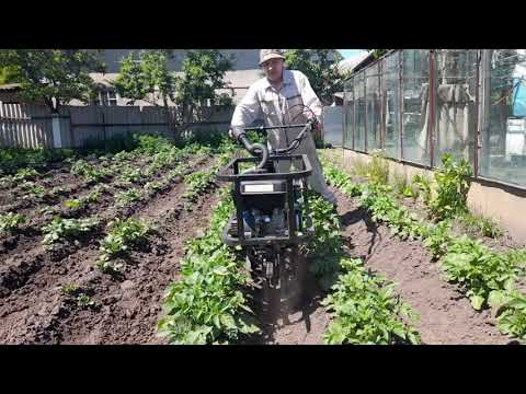 Видео: ДТЗ 470БН. Опустили двигун на 10 см. Випробування (№277)