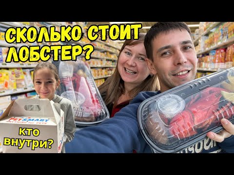 Видео: Открылся новый магазин\\ Смешные цены в США\\ У нас завелись крысы.