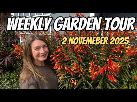 Видео: Еженедельный тур по саду 2 ноября 2025 г.