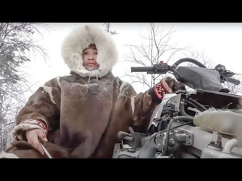 Видео: Жизнь в тундре: семья, олени и выбор, который изменил всё. Андрей Пуйко | Ясавэй. Кочевник ХХI века