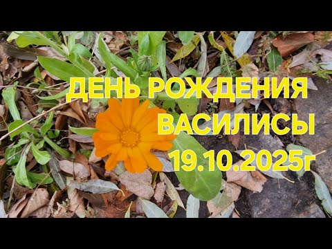 Видео: ДЕНЬ РОЖДЕНИЕ ВАСИЛИСЫ,ДЕНЬ ИМЕНИННИКА ОКТЯБРЬ,СПРАВИЛИ В КАСЛЯХ