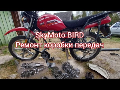 Видео: Частина 1. Ремонт коробки передач  BIRD, kinlong, ski bike, кінлонг, скайбайк. повний розбор мотора