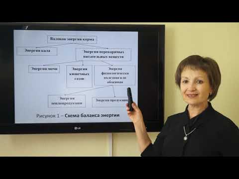 Видео: Козина Е.А.  Потребность рыб в питательных веществах