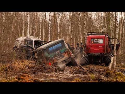 Видео: День дурака или как остаться в живых 2025 1-я часть