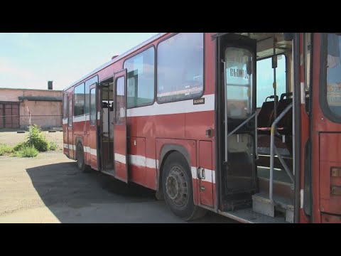 Видео: Автобусы есть, водителей нет: о кадровом кризисе в автопарках Усть-Каменогорска