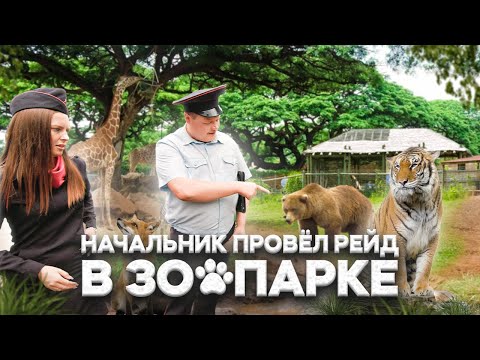 Видео: НАЧАЛЬНИК ПРОВЕЛ РЕЙД В ЗООПАРКЕ