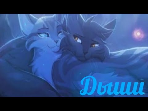 Видео: • ЗАКАЗ: Коты-воители, Серебрянка и Крутобок. Дыши ( Виктория Дайнеко ) •