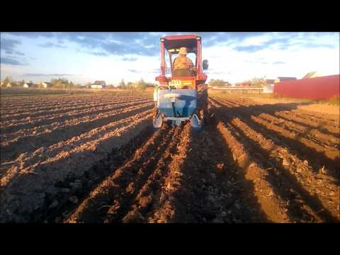 Видео: Посадка картофеля японским минитрактором с шириной колеи 94см.