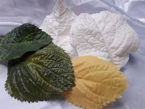 Видео: Лист гортензии с того самого  молда из  строительного силикона. МК от Риты