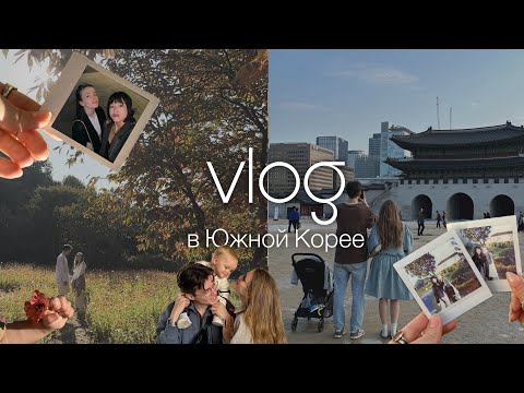 Видео: большой VLOG | Южная Корея | первый перелет с ребенком 10 часов | Сеул & Пусан | Шанхай транзитом