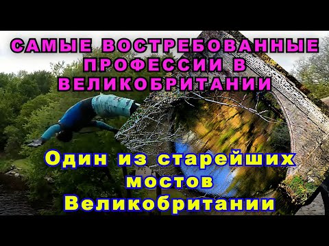 Видео: Какие самыe востребованныe профессии в Великобритании. Cтарейший мост Bеликобритании и многое другое