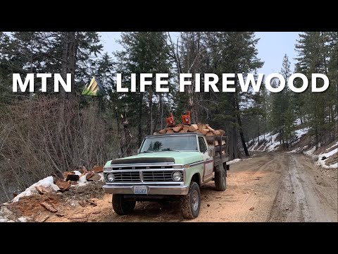 Видео: Рубка дров в Северо-Западном регионе Тихого океана