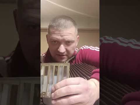 Видео: Московский заказной цельнопланочный баян)