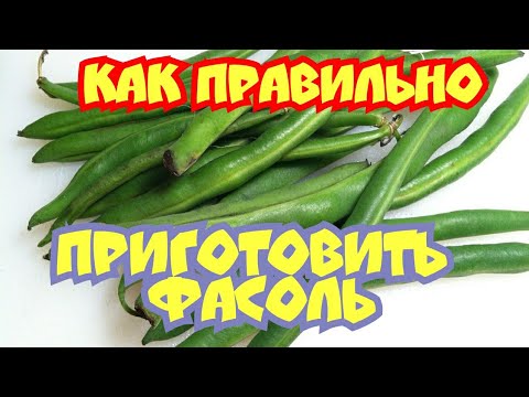 Видео: Как Правильно Приготовить Стручковую Фасоль ЧТОБЫ она ОСТАЛАСЬ ЗЕЛЕНОЙ/Пароварка Morphy Richa