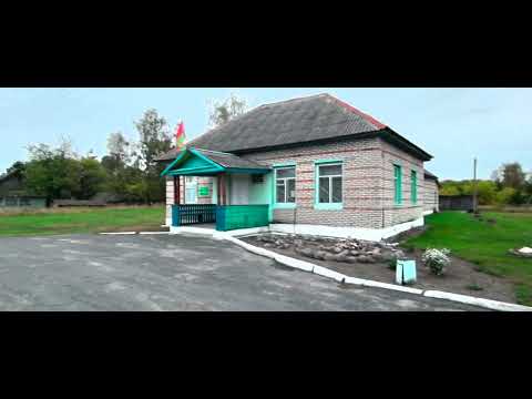 Видео: Продаётся дом 6000 $ с коммуникациями, Гомельская область Петриковский район, деревня Михедовичи.