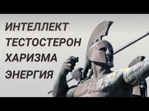 Видео: Кто такой Альфа Самец и возможно ли им стать?