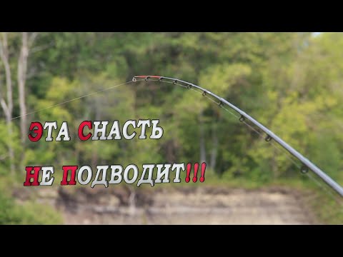 Видео: Мешок леща на фидер! ЛЕЩ на фидер! Поклёвки крупным планом! Рыбалка на леща!Feeder fishing