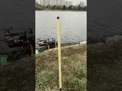 Видео: Маркерные колья  #fishing #донка