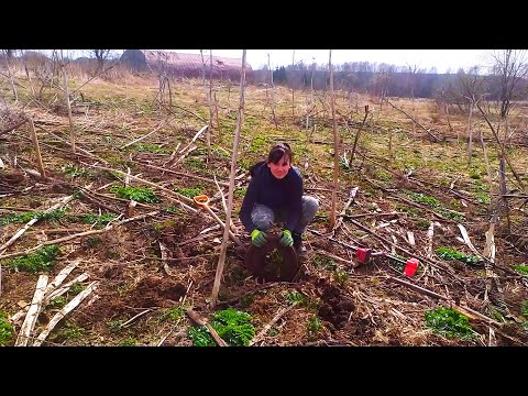 Видео: МЫ СНОВА ВЕРНУЛИСЬ НА ЭТУ ФЕРМУ ЗА КЛАССНЫМИ НАХОДКАМИ. КОП МЕТАЛЛОЛОМА