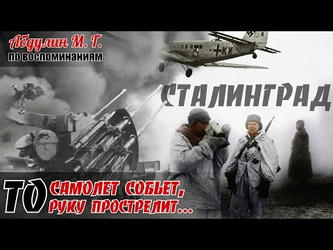 Видео: Любитель тpoфeйнoго opyжия Иван Конский. Противотaнкoвыe собаки. По воспоминаниям Абдулина М. Г.1ч.