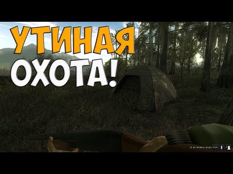 Видео: theHunter Classic охота на уток !