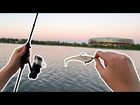 Видео: Серия «Маллоуэй», эпизод 1 — БЕЗУМНАЯ ТРЮКА на стадионе «Оптус»!