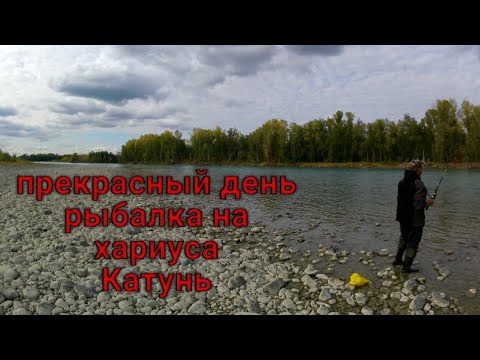 Видео: Пятничная рыбалка по хариусу…