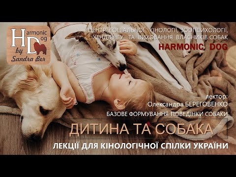 Видео: Олександра Береговенко - ДИТИНА та СОБАКА (коротка лекція)