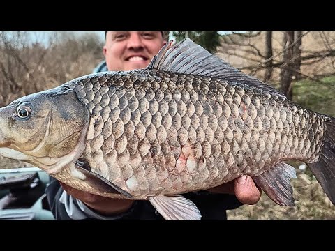Видео: КАРАСЬ ПІШОВ КОНКРЕТНІ ЛАПТІ ГНУТЬ КИВОК  Рибалка на весняного карася