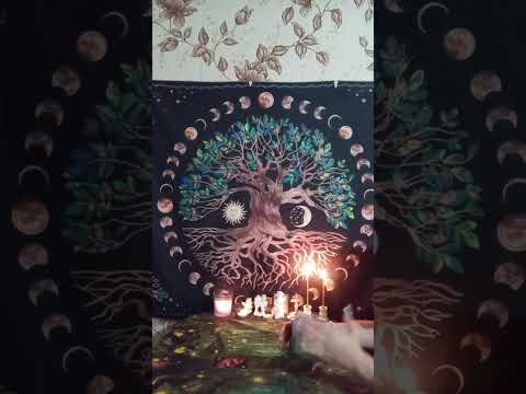 Видео: ✨✨ТАРО ДЛЯ МУЖЧИН. Что необычного произойдет в октябре месяце#мысличувствадействия#tarot ✨✨