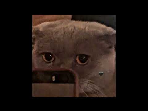 Видео: Вера Брежнева - любовь спасёт мир (speed up)