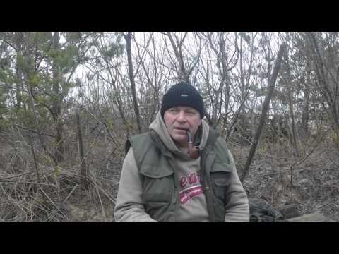 Видео: Fisher F44: шкала минерализации, - что это и зачем