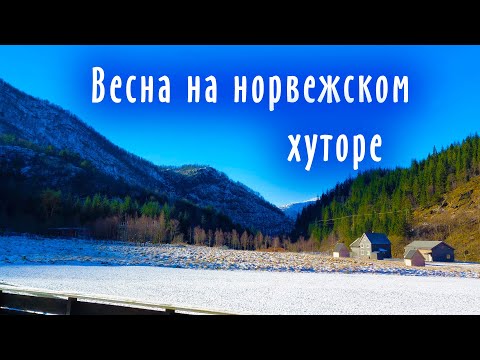 Видео: Первая весна / Дом в Норвегии / Норвежский хутор