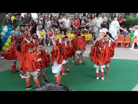 Видео: Мечо Пух, танцът на калинките