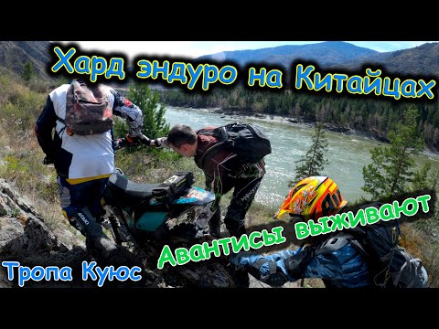 Видео: Хард эндуро на китайцах | Мотобудни на Алтае | Авантис 250 172fmm | Тропа Куюс-Сумульта