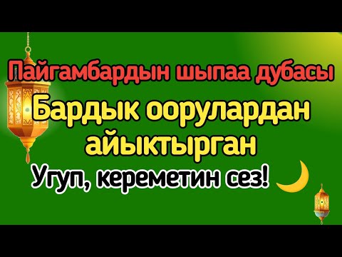Видео: ДАРЫСЫЗ АЙЫКТЫРГАН ДУА! 